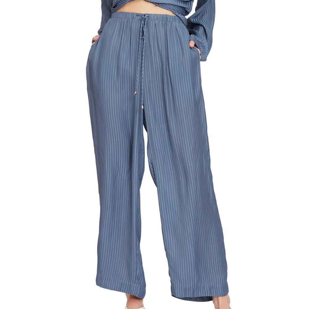 𝅺JR196 Lucy Paris Blue Velvet Crush Tenley Striped Pants Size XL